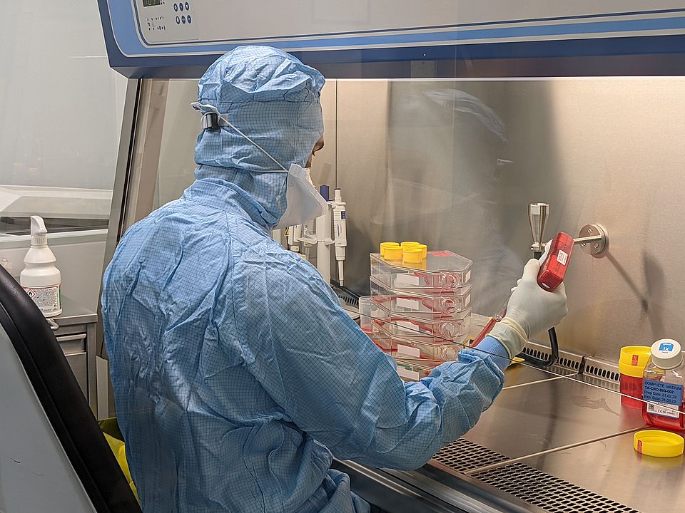 Cell culture process in a sterile laboratory in a biosafety work bench