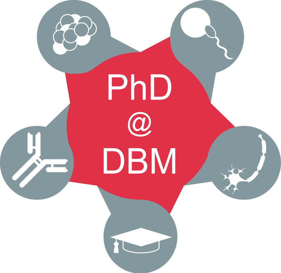 PhD@DBM
