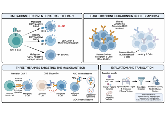 Precision_cell_therapy