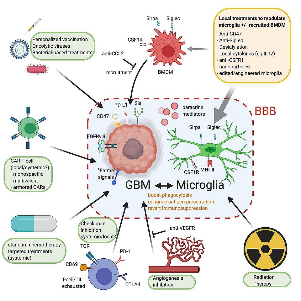 Figure potential treatments 
