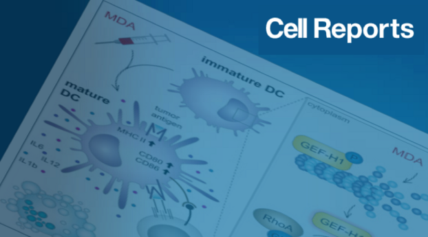 Kashyap Cell Reports 2019