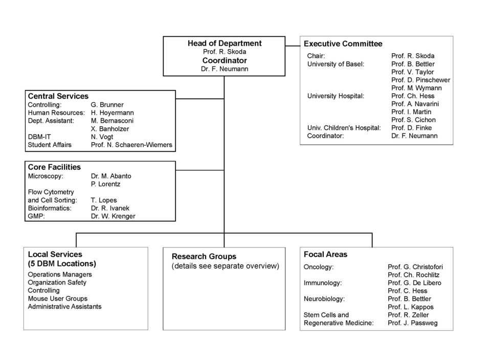 DBM Organigramm