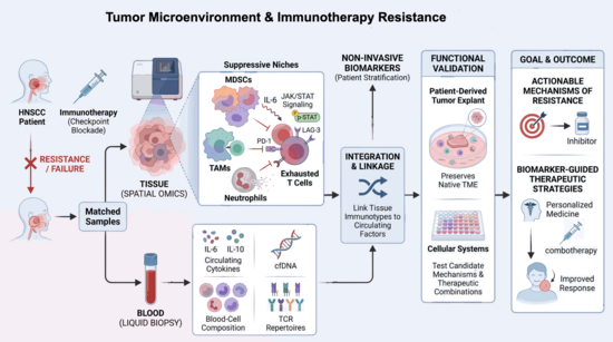 Deciphering TME architectures to understand resistance to immunotherapy