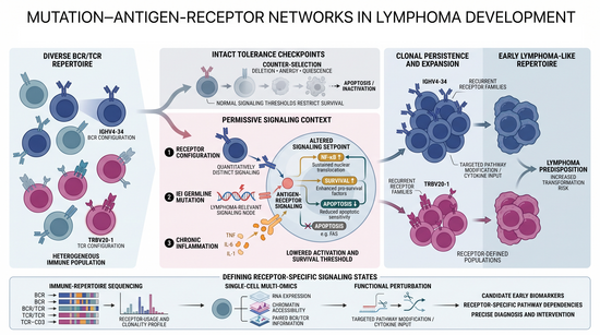 Recurrent selection of shared antigen receptors in lymphoma and autoimmunity