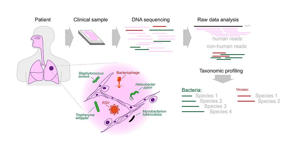 Figure 1. Shotgun metagenomic next-generation sequencing (mNGS)