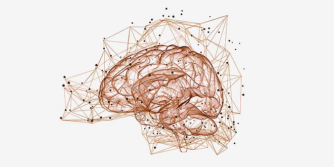Brain activity