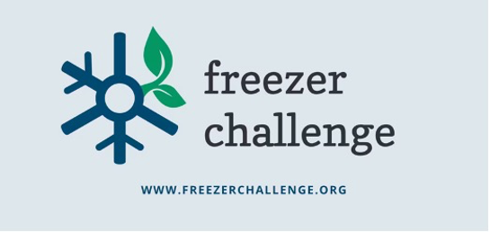Logo freezer challenge
