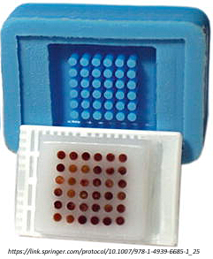36TMA