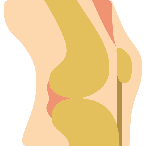 Drawing Knee Joint